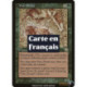 (Foil) Verte - Dryade des vignes (R) [MMQ]