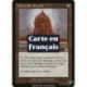 (Foil) Incolore - Insignes de général (R) [MMQ]