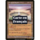 (Foil) Terrain - Cromlech de Ramos (U) [MMQ]