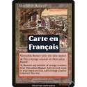 (Foil) Terrain - Bazar de Mercadia (U) [MMQ]