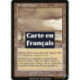 (Foil) Terrain - Ferme isolée (C) [MMQ]