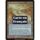 (Foil) Terrain - Anse saprazzoise (U) [MMQ]