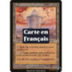 (Foil) Terrain - Tour du Magistrat (R) [MMQ]