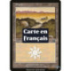 (Foil) Terrain - Plaine (V1) (L) [MMQ]