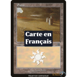 (Foil) Terrain - Plaine (V2) (L) [MMQ]