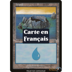 (Foil) Terrain - Île (V1) (L) [MMQ]
