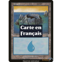(Foil) Terrain - Île (V1) (L) [MMQ]