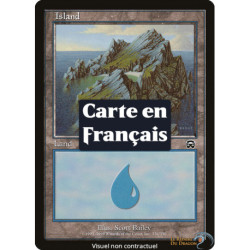 (Foil) Terrain - Île (V2) (L) [MMQ]