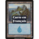 (Foil) Terrain - Île (V2) (L) [MMQ]