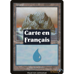 (Foil) Terrain - Île (V3) (L) [MMQ]