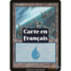 (Foil) Terrain - Île (V4) (L) [MMQ]
