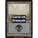 (Foil) Terrain - Marais (V2) (L) [MMQ]