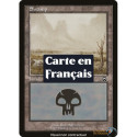 (Foil) Terrain - Marais (V2) (L) [MMQ]