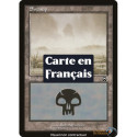 (Foil) Terrain - Marais (V3) (L) [MMQ]