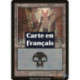 (Foil) Terrain - Marais (V4) (L) [MMQ]