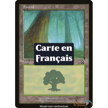 (Foil) Terrain - Forêt (V1) (L) [MMQ]