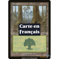 (Foil) Terrain - Forêt (V3) (L) [MMQ]