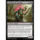 (Foil) Noire - Rakshasa de Gurmag (U) [TDM]