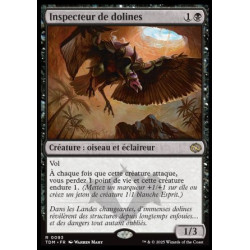 (Foil) Noire - Inspecteur de dolines (V1) (R) [TDM]