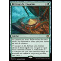 (Foil) Verte - Héritage du troupeau (V1) (R) [TDM]