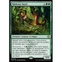 (Foil) Verte - Rôdeuse lasyd (V1) (R) [TDM]