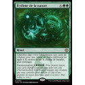 (Foil) Verte - Rythme de la nature (V1) (R) [TDM]
