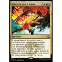 (Foil) Multicolore - Nouvelle voie à suivre (V1) (R) [TDM]