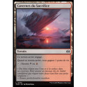 (Foil) Terrain - Cavernes du Sacrifice (C) [TDM]
