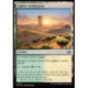 (Foil) Terrain - Sables verdoyants (C) [TDM]
