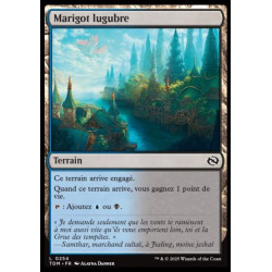 (Foil) Terrain - Marigot lugubre (C) [TDM]