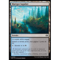 (Foil) Terrain - Marigot lugubre (C) [TDM]