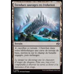 (Foil) Terrain - Étendues sauvages en évolution (C) [TDM]