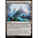 (Foil) Terrain - Étendues sauvages en évolution (C) [TDM]