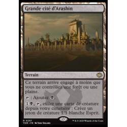 (Foil) Terrain - Grande cité d'Arashin (V1) (R) [TDM]