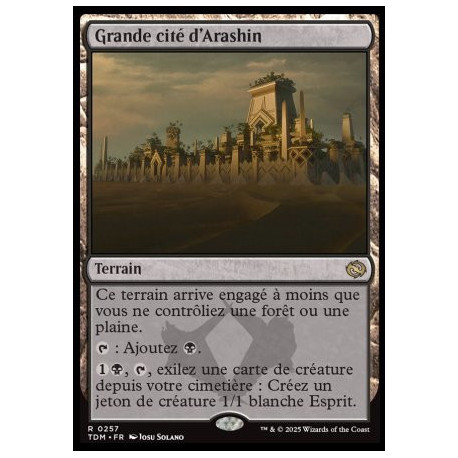 (Foil) Terrain - Grande cité d'Arashin (V1) (R) [TDM]