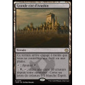 (Foil) Terrain - Grande cité d'Arashin (V1) (R) [TDM]