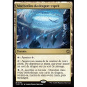 (Foil) Terrain - Maelström du dragon-esprit (V1) (R) [TDM]