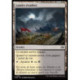 (Foil) Terrain - Landes érodées (C) [TDM]