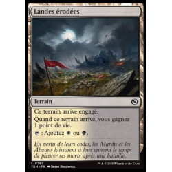 (Foil) Terrain - Landes érodées (C) [TDM]