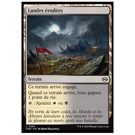 (Foil) Terrain - Landes érodées (C) [TDM]