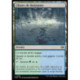 (Foil) Terrain - Chutes de Boisépine (C) [TDM]