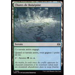 (Foil) Terrain - Chutes de Boisépine (C) [TDM]
