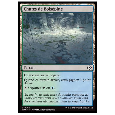 (Foil) Terrain - Chutes de Boisépine (C) [TDM]