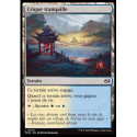 (Foil) Terrain - Crique tranquille (C) [TDM]