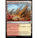 (Foil) Terrain - Cordillère marquée par les vents (C) [TDM]