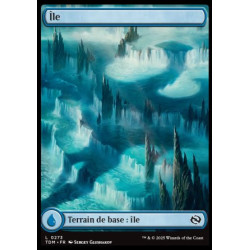 (Foil) Terrain - Île (V1 - Dragon's Presence) (L) [TDM]