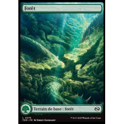 (Foil) Terrain - Forêt (V1 - Dragon's Presence) (L) [TDM]