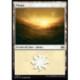 (Foil) Terrain - Plaine (V2) (L) [TDM]