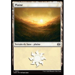 (Foil) Terrain - Plaine (V2) (L) [TDM]