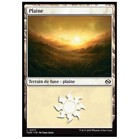 (Foil) Terrain - Plaine (V2) (L) [TDM]